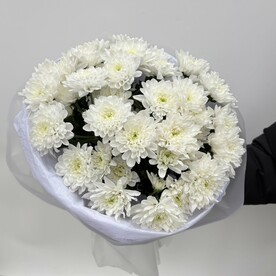 Букет из 5 белых кустовых хризантем