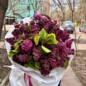 Букет из 13 веток сирени