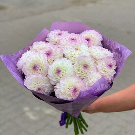 Георгина шт, Авторская упаковка шт