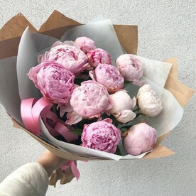 11 розовых пионов