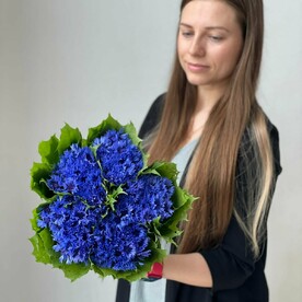 Самые необычные цветы, васильки