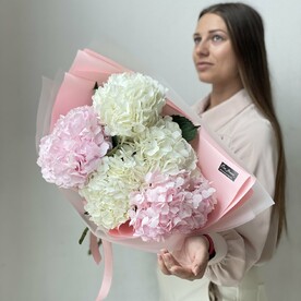 Гортензия Гидрангия, Дизайнерская упаковка