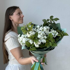 Маттиола шт, Зелень шт, Дизайнерская упаковка шт, шт