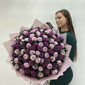 Хризантема