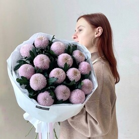 15 розовых хризантем сорт Мамокко