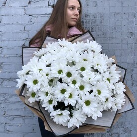 Хризантема кустовая, Упаковка