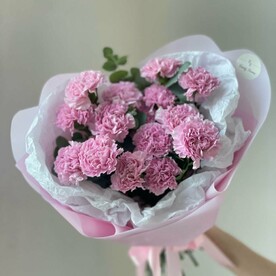 17 розовых диантусов