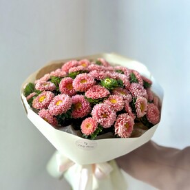 Сезонные астры 💐