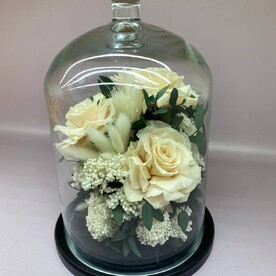 Мир под стеклом