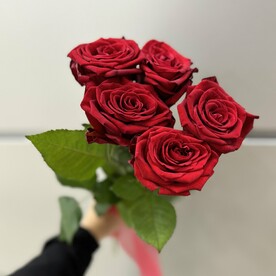 5 бархатных роз