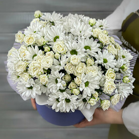 Хризантема кустовая, Роза кустовая, Шляпная коробка