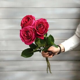 3 малиновых роз Эквадор 50 см