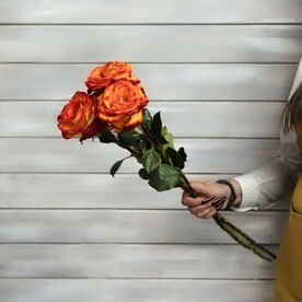 3 оранжевые розы Эквадор 50 см