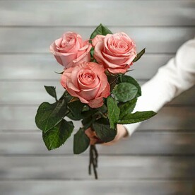 3 розовые розы Эквадор 50 см
