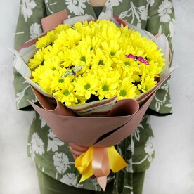 Хризантема кустовая, Дизайнерская упаковка