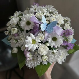 Полёт бабочки