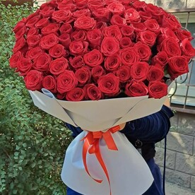 101 роза Рэд Наоми в упаковке