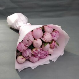 Пион сара бернард, Дизайнерская упаковка