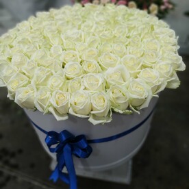 Роза шт, Оазис шт, шт, Шляпная коробка шт