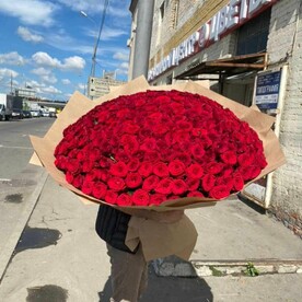 301 Красная Роза