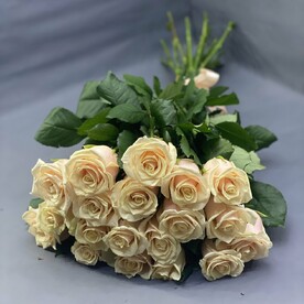 Роза кремовая 19 шт
