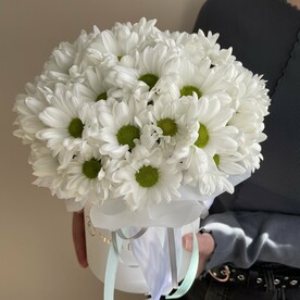 Композиция из ромашек