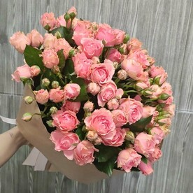 Роза кустовая, Крафт