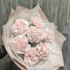 Букет из 7 розовых гвоздик