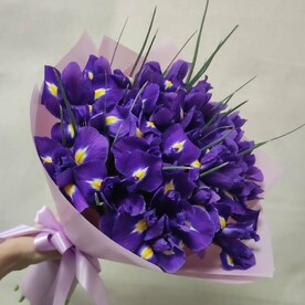 Букет из 25 синих ирисов