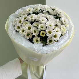 Букет из ромашек Сантини