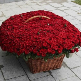 1001 роза