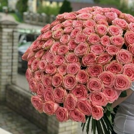 Букет из 101 розы