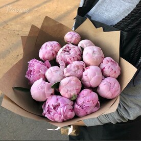 Розовые пионы