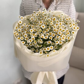 Ромашка шт, Бумага шт, Тишью шт, шт