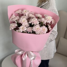 БУКЕТ ГИГАНТ ИЗ ПУДРОВЫХ ХРИЗАНТЕМ