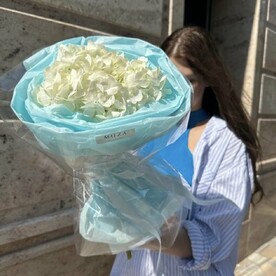 Букет комплимент «облако из гортензий»