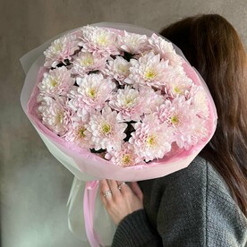 Моно букет из пудровых хризантем