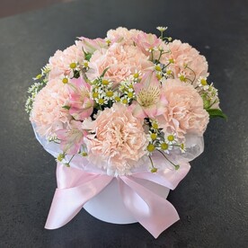 Коробка с диантусами и альстромерией