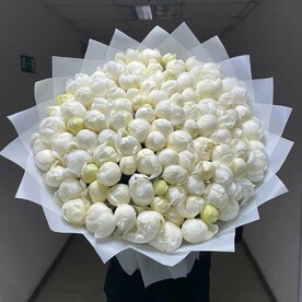 Пион, Дизайнерская упаковка, Открытка