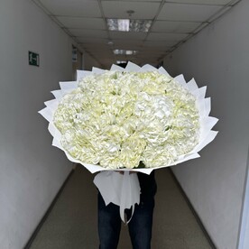 Гортензия Гидрангия, Дизайнерская упаковка, Открытка