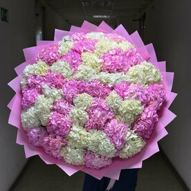Гортензия Гидрангия, Дизайнерская упаковка, Открытка