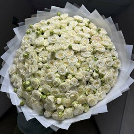 Кустовая пионовидная роза