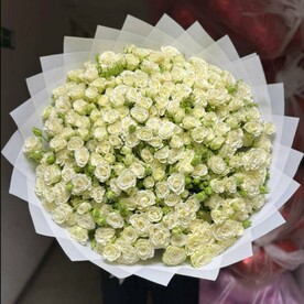 Белая кустова роза