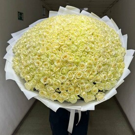 Роза белая, Дизайнерская упаковка, Открытка