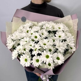 Букет из 9 кустовой ромашковой хризантемы