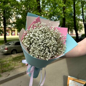 Облако белой гипсофилы