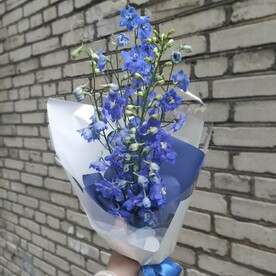 Монобукет из дельфиниума