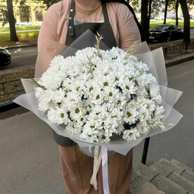 Монобукет из хризантемы кустовой ромашковой