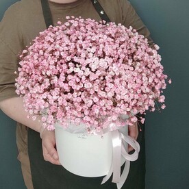 Композиция из гипсофилы розовой Xl
