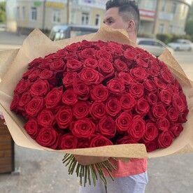 101 красная высокая Роза